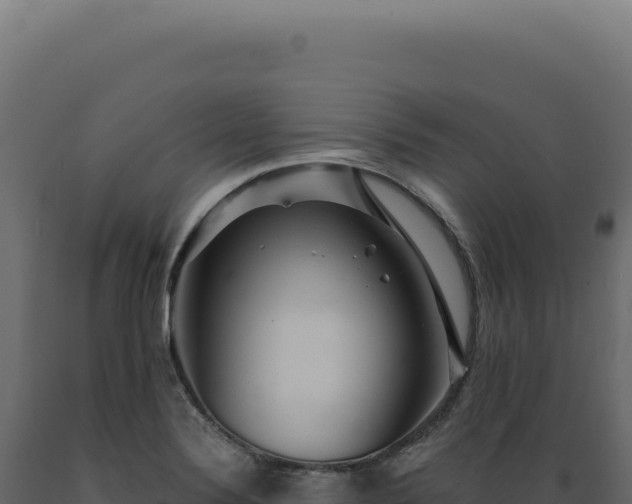 X0000089971324200707061153