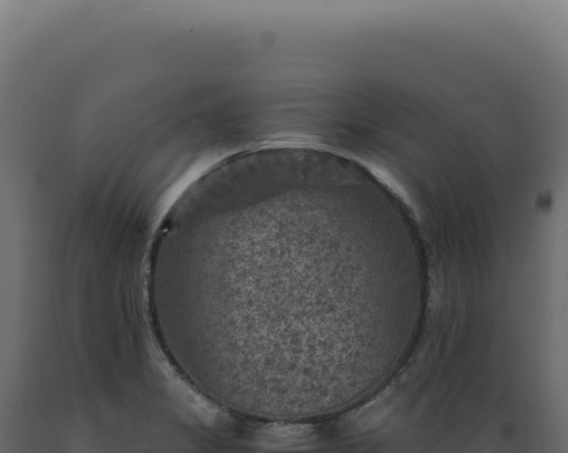 X0000089971325200707061153