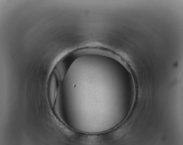 X0000089971326200707061153