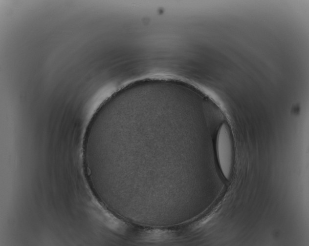 X0000089971327200707061153