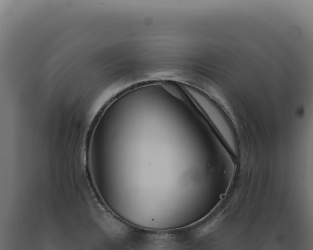 X0000089971328200707061153