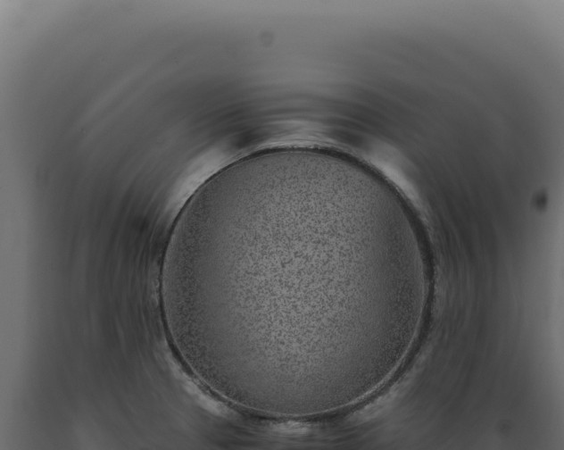 X0000089971329200707061153