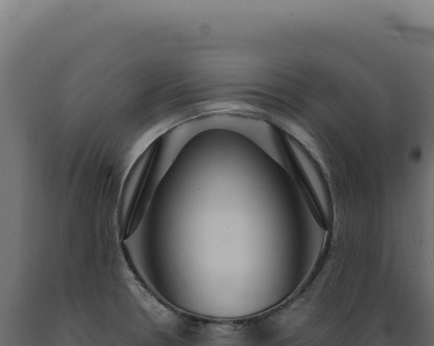 X0000089971330200707061153