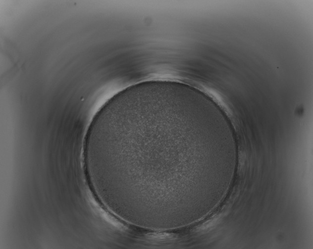 X0000089971331200707061153