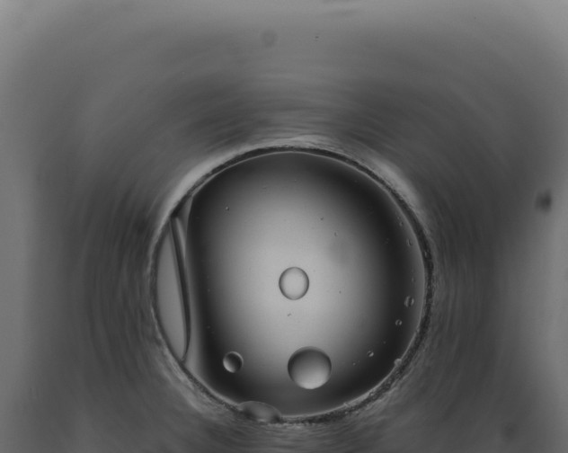 X0000089971332200707061153