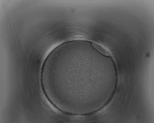X0000089971333200707061153