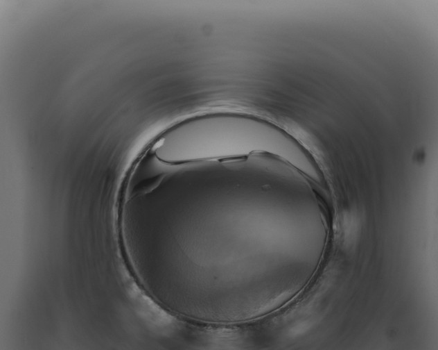 X0000089971334200707061153