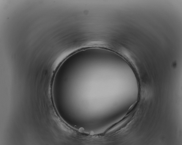 X0000089971336200707061153