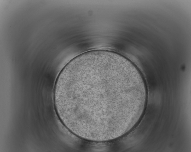 X0000089971338200707061153