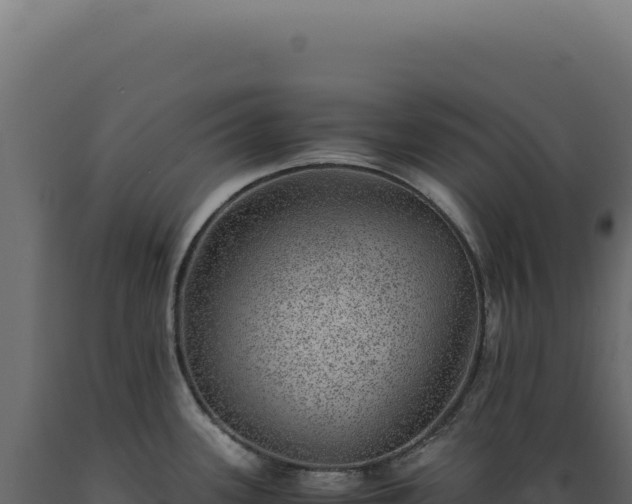 X0000089971339200707061153