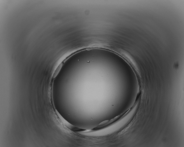 X0000089971340200707061153