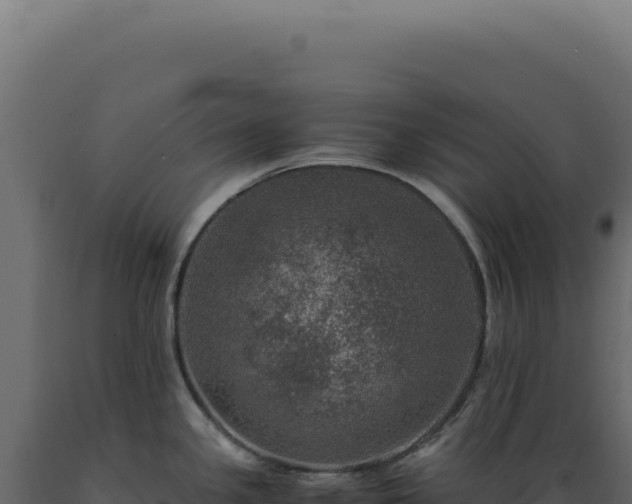 X0000089971341200707061153