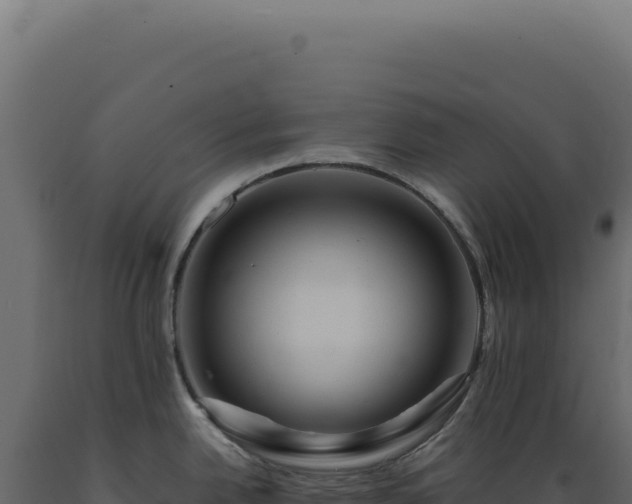 X0000089971342200707061153