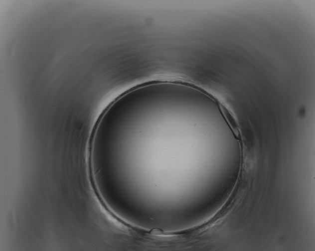 X0000089971343200707061153