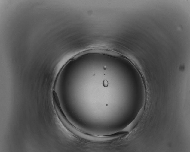 X0000089971344200707061153