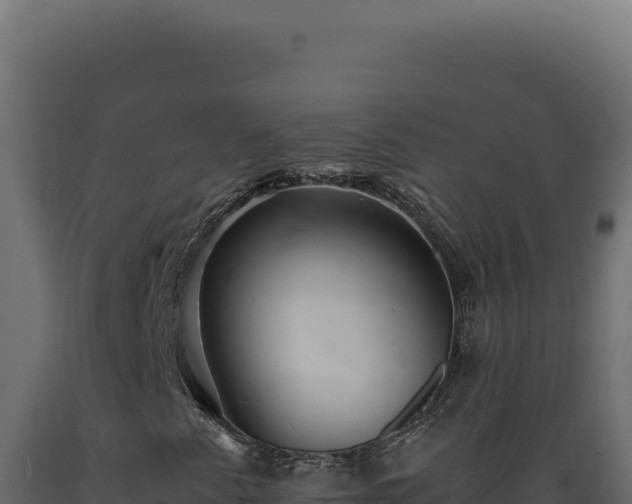 X0000089971345200707061152