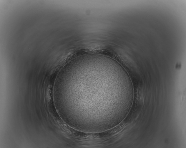 X0000089971346200707061152