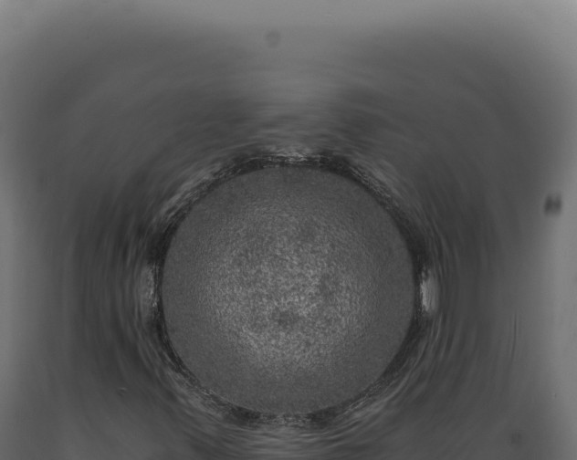 X0000089971347200707061152