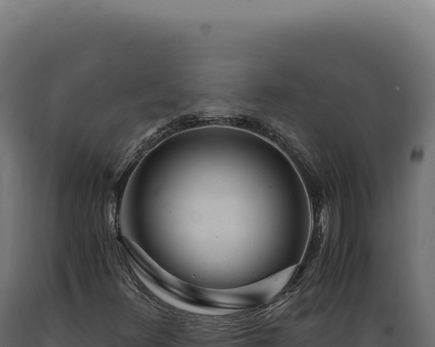 X0000089971348200707061152