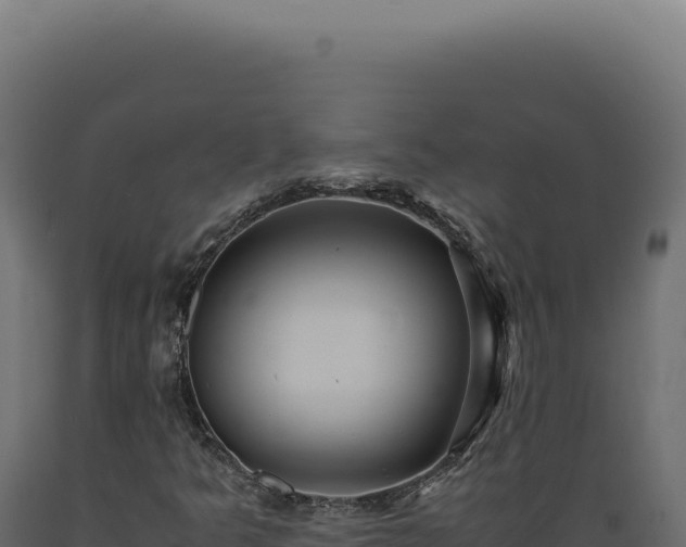 X0000089971349200707061152