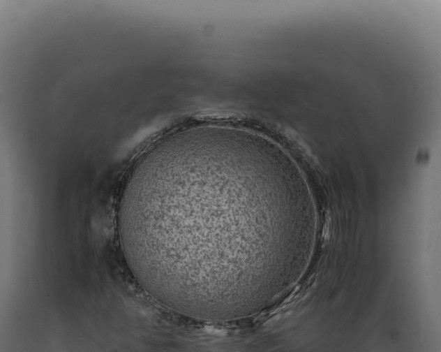 X0000089971350200707061152