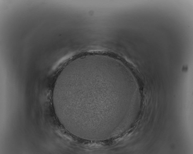 X0000089971351200707061152