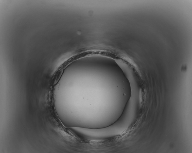X0000089971352200707061152