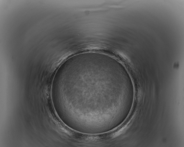 X0000089971353200707061152