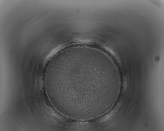X0000089971354200707061152