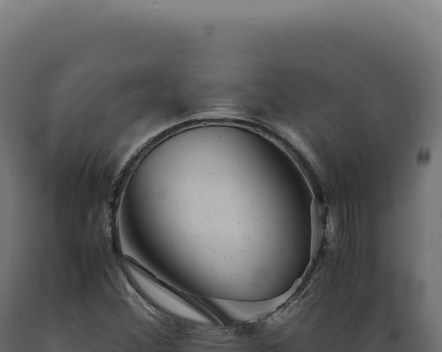 X0000089971356200707061152