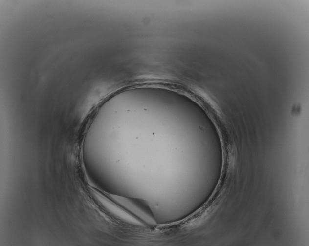 X0000089971357200707061152