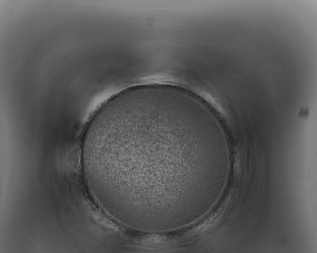 X0000089971358200707061152