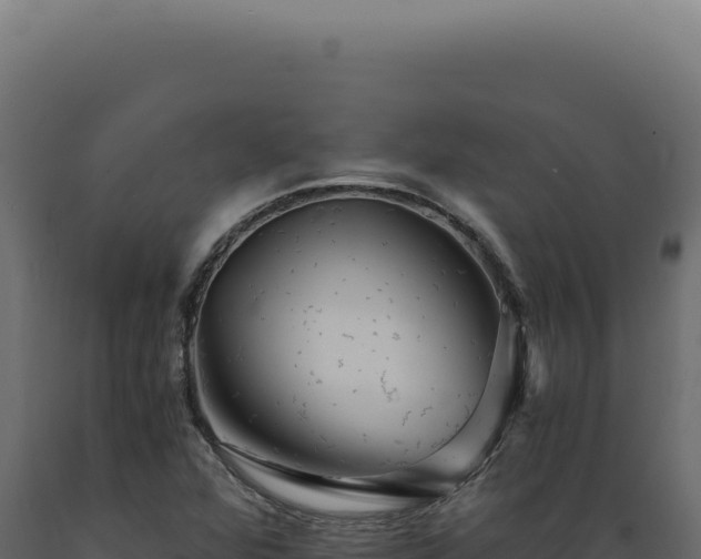 X0000089971360200707061152