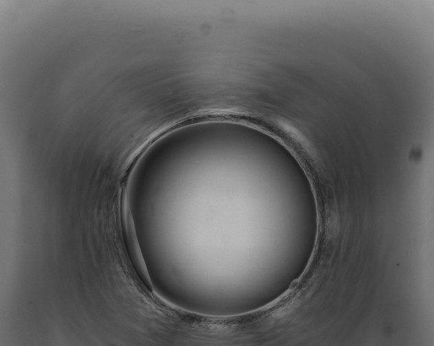 X0000089971361200707061152