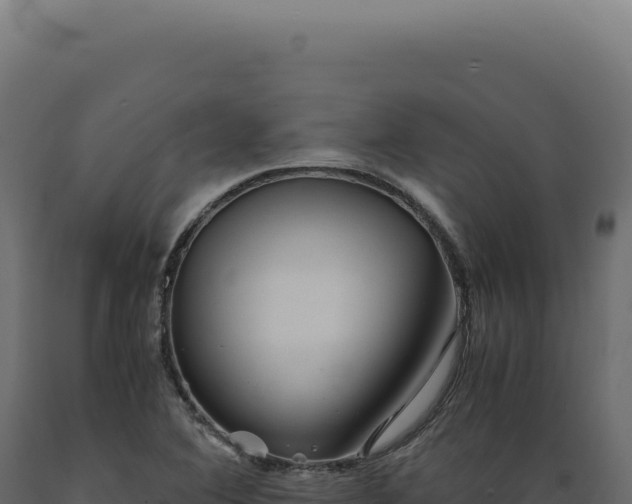 X0000089971364200707061152