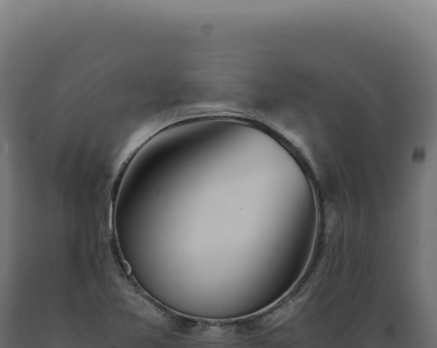 X0000089971365200707061152
