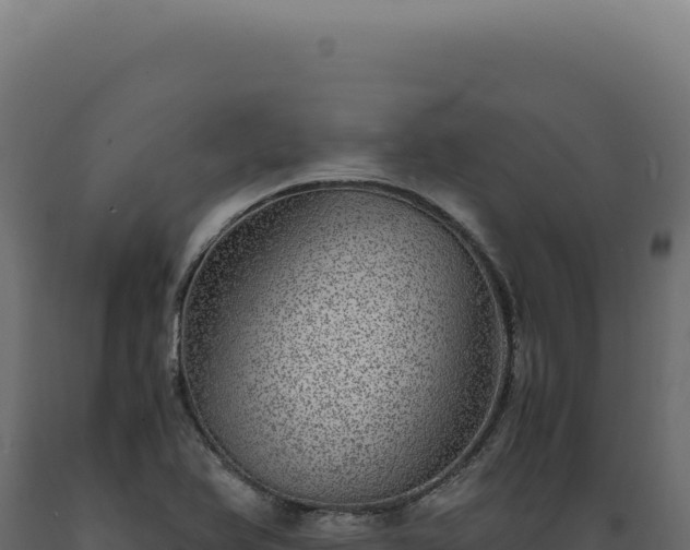 X0000089971366200707061152