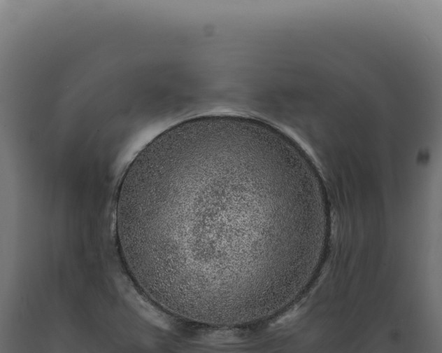 X0000089971367200707061152