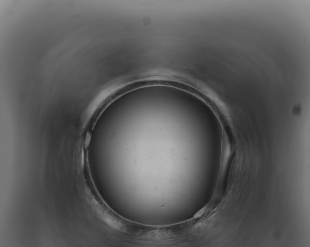 X0000089971368200707061152