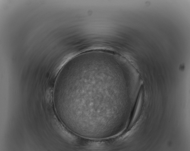 X0000089971369200707061152