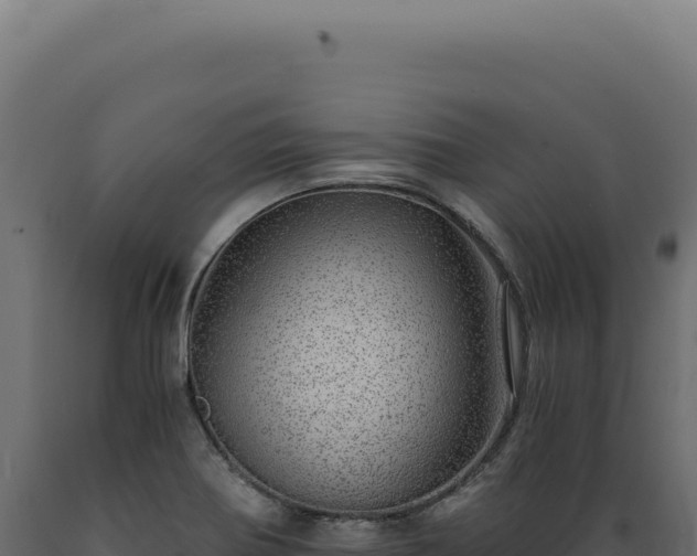 X0000089971370200707061152