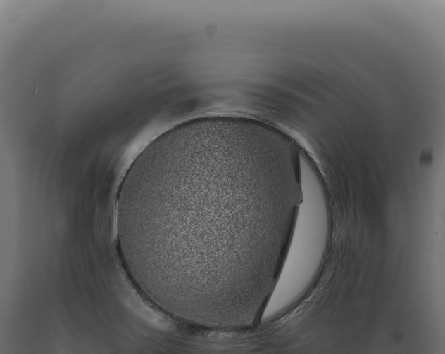 X0000089971371200707061151
