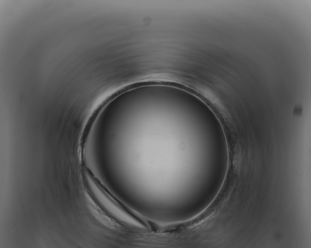 X0000089971372200707061151