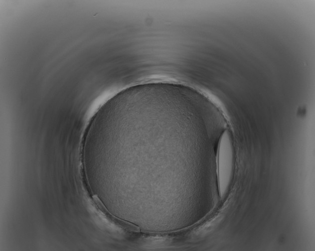 X0000089971373200707061151