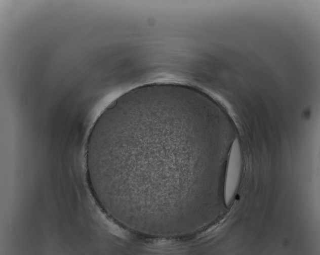 X0000089971375200707061151