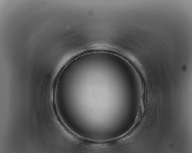 X0000089971376200707061151