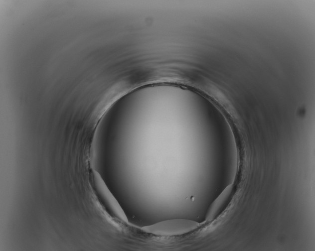 X0000089971377200707061151
