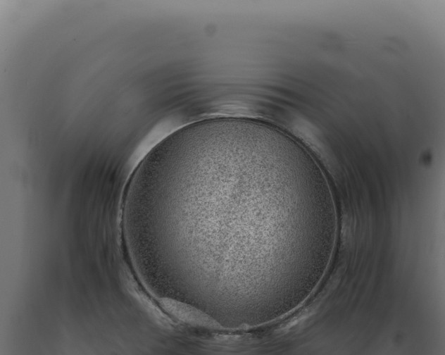 X0000089971378200707061151