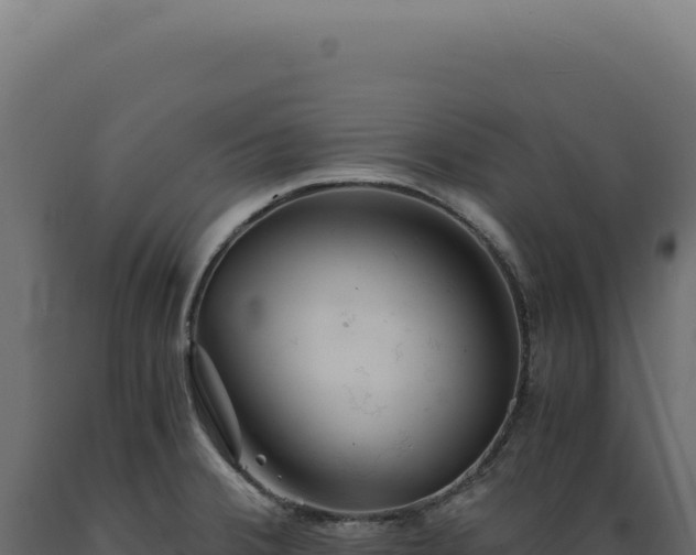 X0000089971380200707061151
