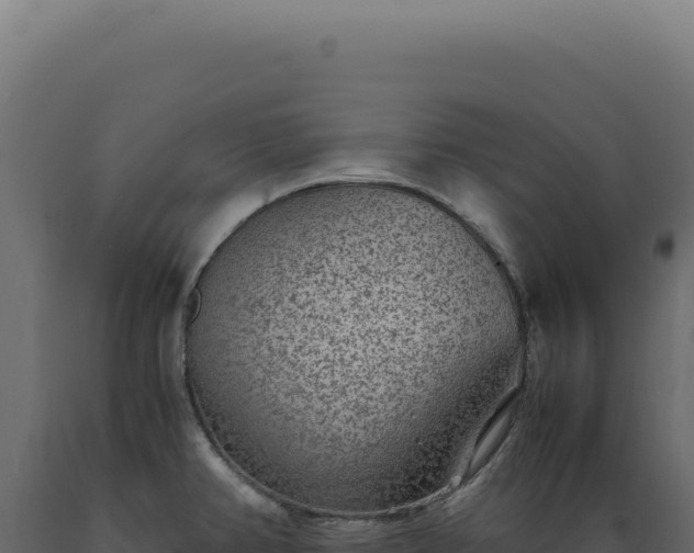 X0000089971382200707061151